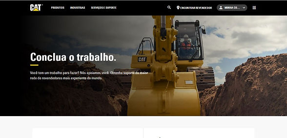 Site institucional.jpg