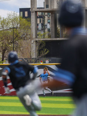 MSU Denver Baseball