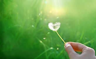 iStock-1367353467.jpg