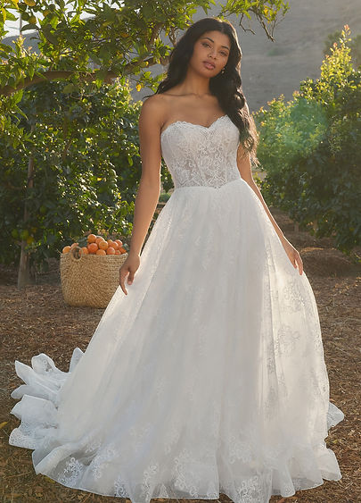 Persimmon Beloved Bridal Lace Aline