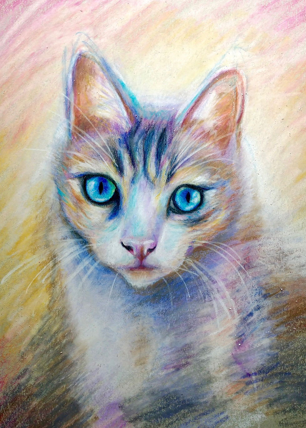Blue-Eyed Kitten