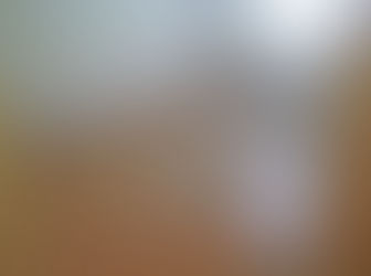 Perkhidmatan Mencuci dan Menyamak