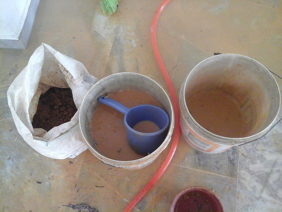 20150506_110115.jpg