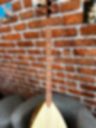 Küçük resim: Dut Bağlama