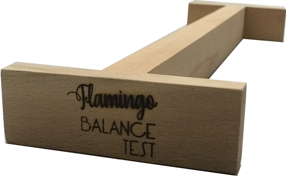 Küçük resim: Flamingo Balance Test®