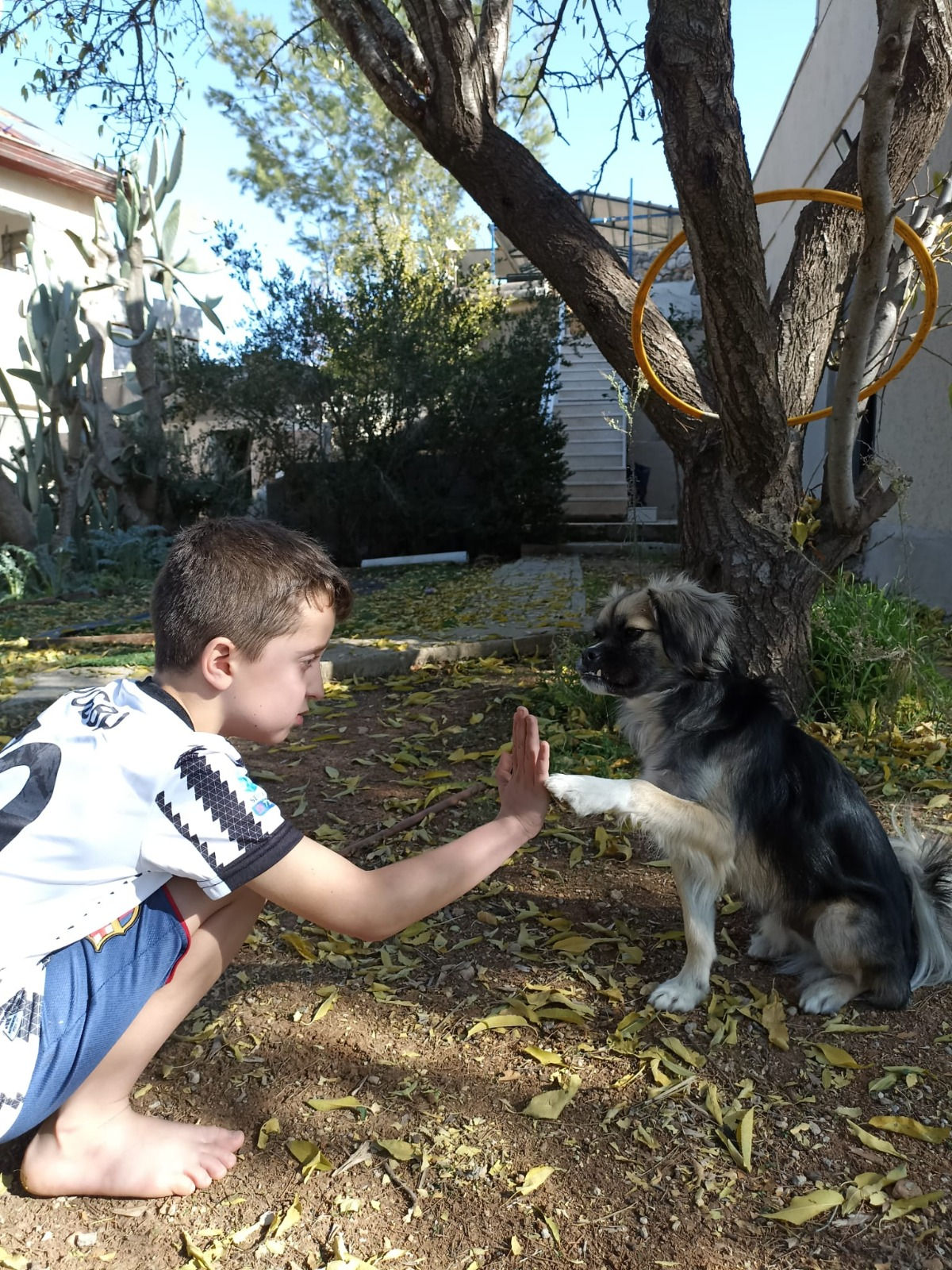 boy hi fives a dog