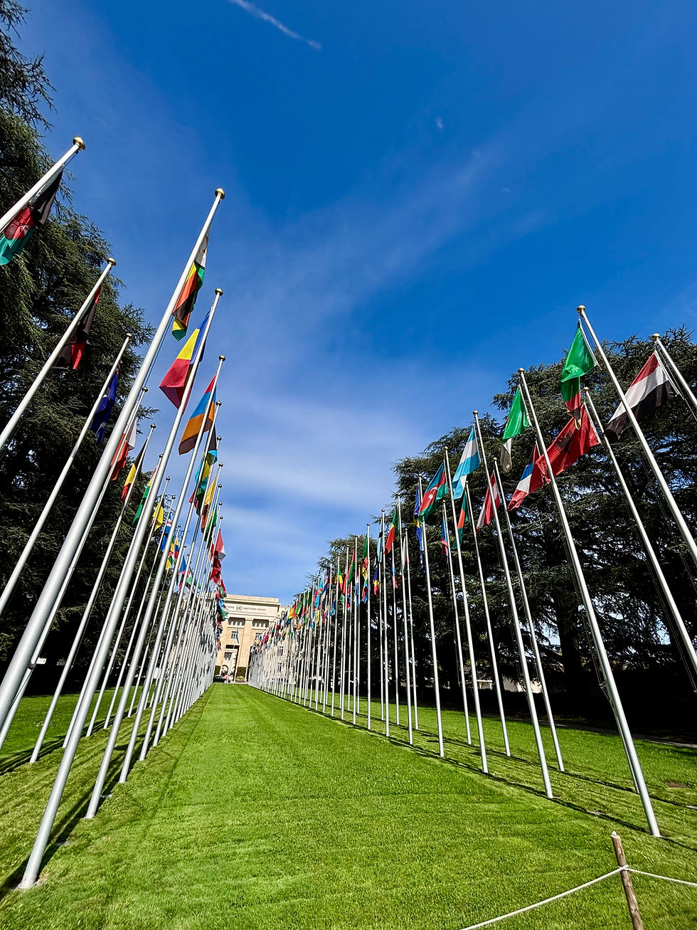 🇺🇳Human Rights Training Programme 2025🕊️