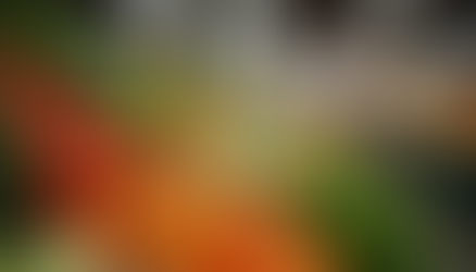 How Quality Ingredients Transform Your Cooking