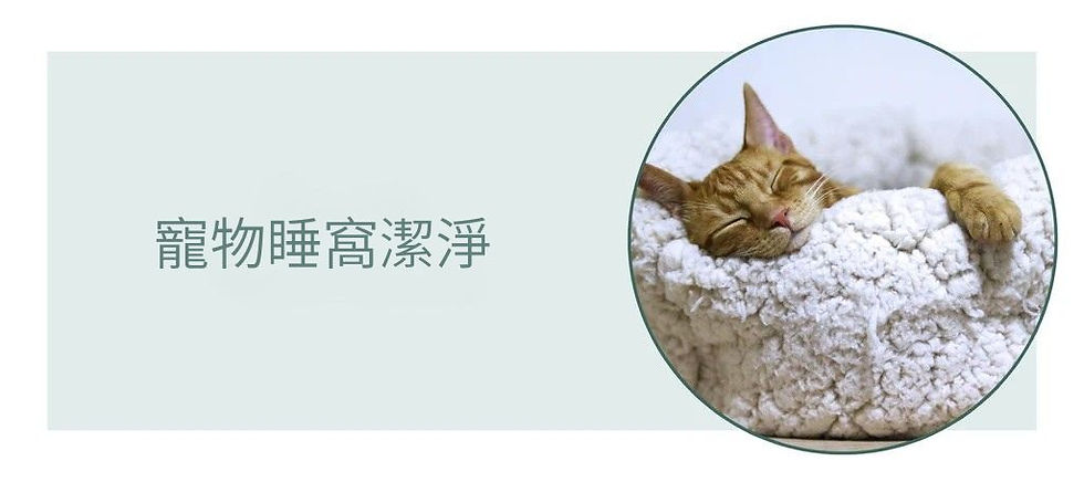 寵物床與織物用品除臭清潔,去除織物吸附的寵物氣味並維持睡窩清新