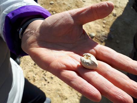 Survey on The Culture and Ethics of Geologic Sampling