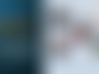 Launching the EGU Geoethics Working Group!