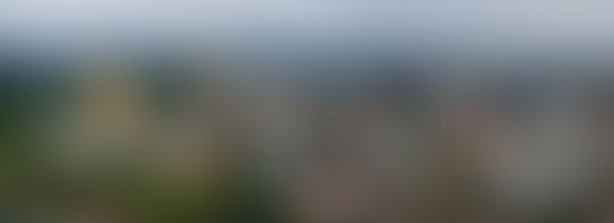 We will be at the 79th IUGS EC meeting!