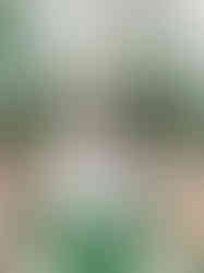 Elevate & Celebrate Workshop editorial wedding setup in Michigan featuring opulent tablescapes, florals, and styled design elements