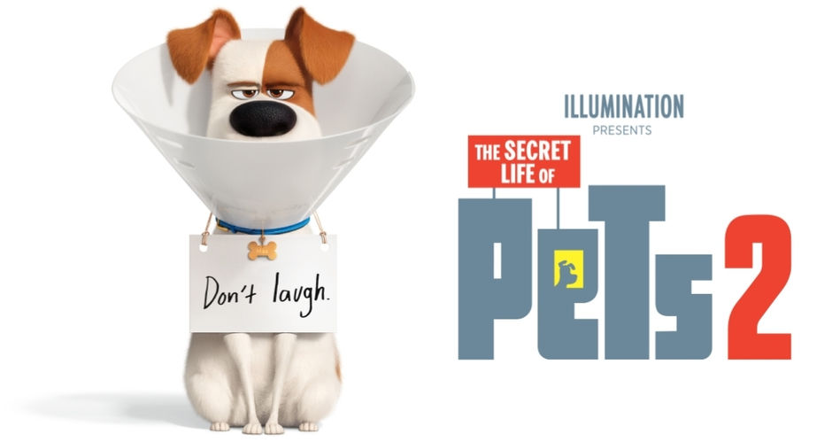 Part City Slickers For Kids and Part Dumbo (6/10)