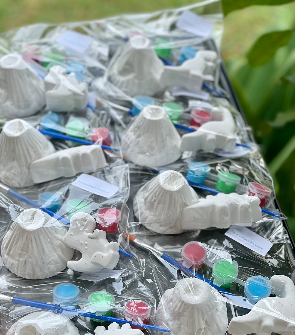 Thumbnail: Dinosaur Themed Plasters Party Favours
