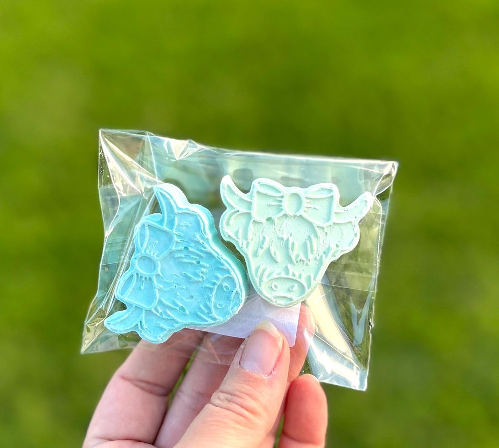 Thumbnail: Holy Cow Farm Themed Chalk Party Favours