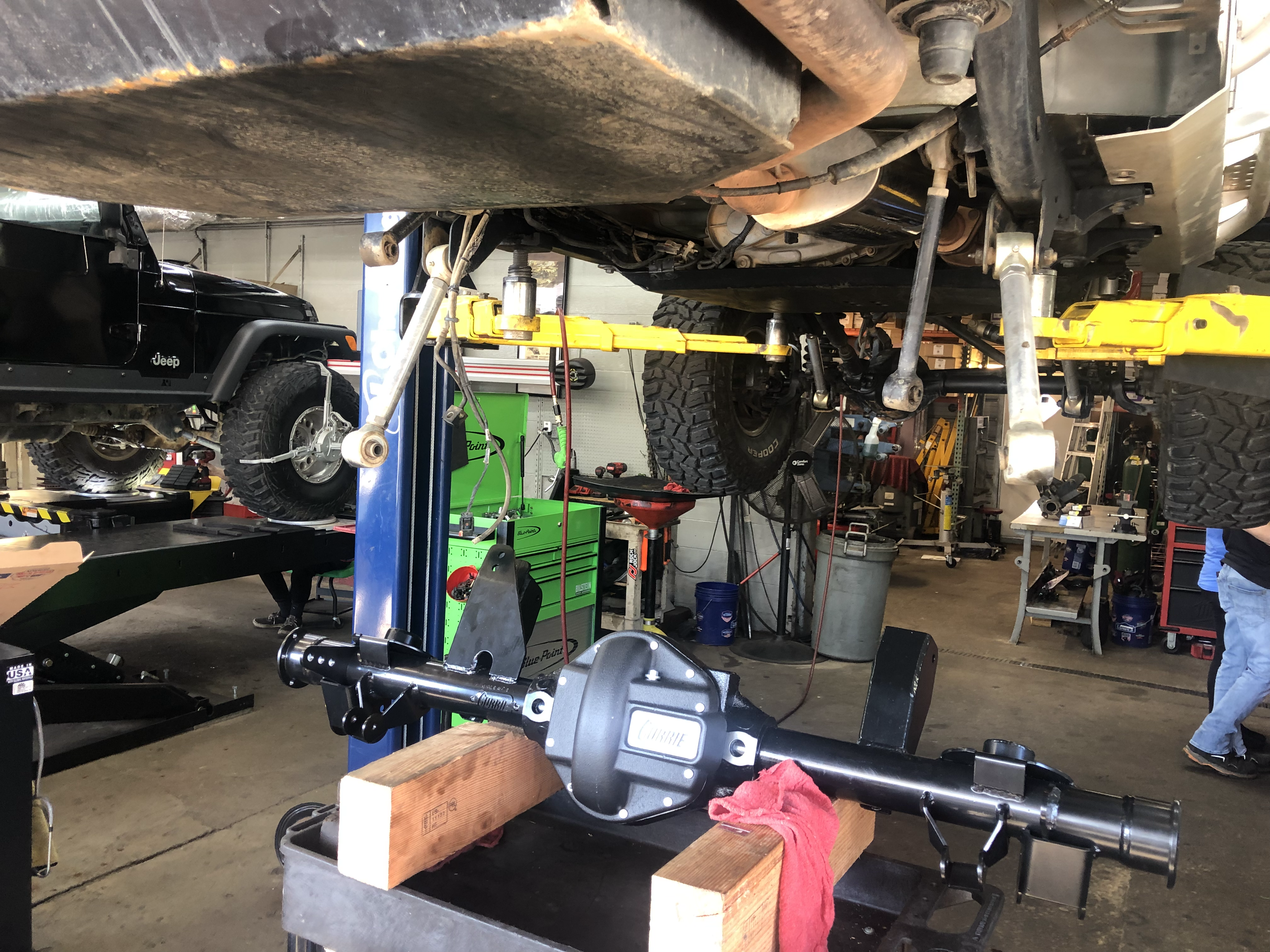 Currie Dana 44 content media