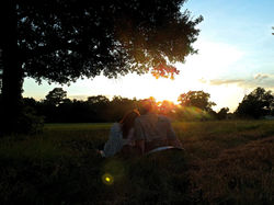sunset (1 of 1)