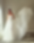 L'Atelier Fleurish Dahlia lace corset basque waist Delilah tulle A-line skirt two-piece bridal separates Los Angeles