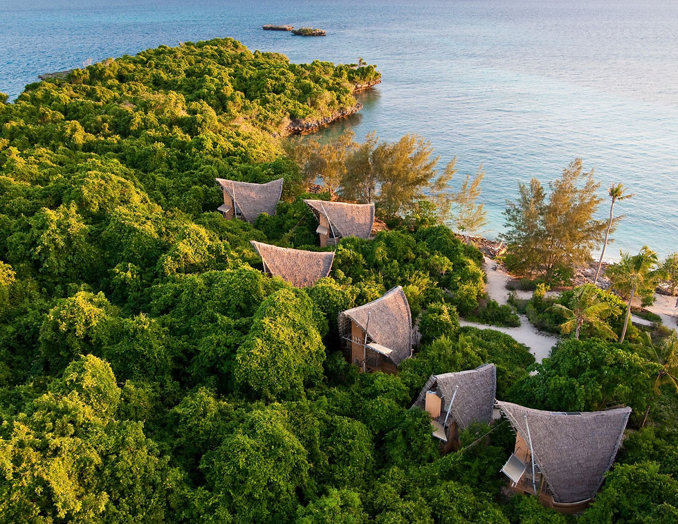 Eco-lodge in forest near water