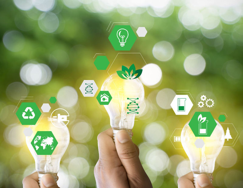 Lightbulb with eco icons