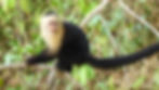 Panama
