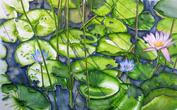 Nenuphars Ile Maurice 78x120 cm