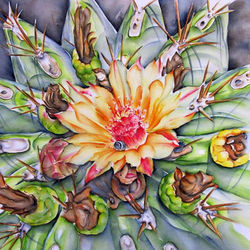 Fleur de cactus 50x50 cm
