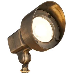spot light_edited.png