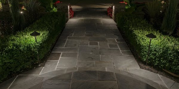 garden light scene.jpg