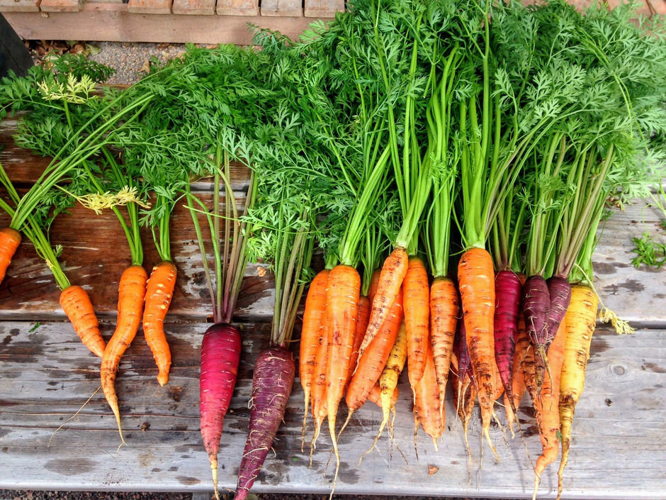 Comment remplacer les produits animaux ?//How to replace animal products ? (coming soon)