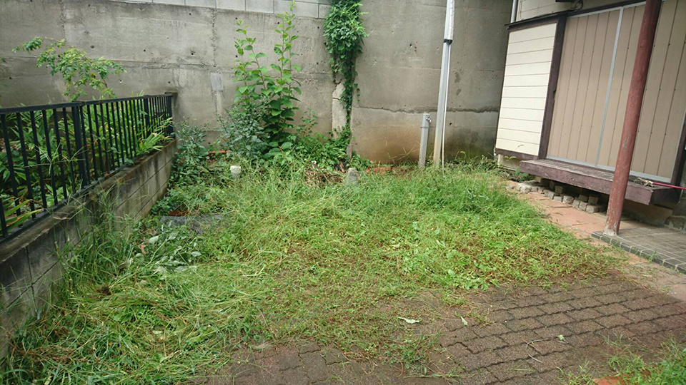 改修前の手付かずの庭
