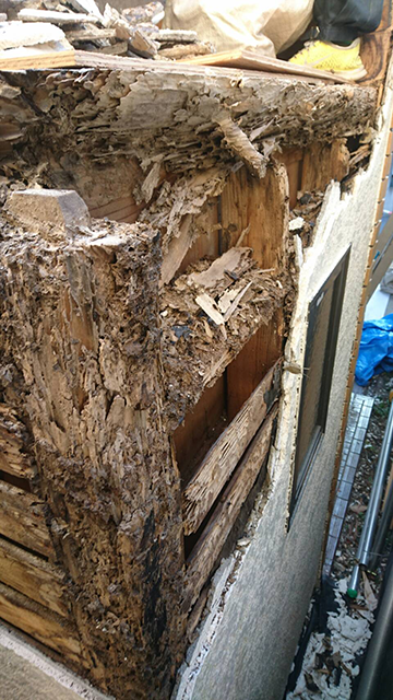 屋根と壁解体後の被害状況3