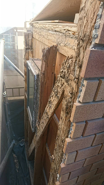 屋根と壁解体後の被害状況2