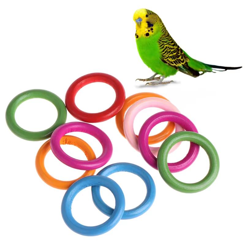 Thumbnail: 10 PCS Colorful Wooden Rings – DIY Parrot Toy Accessories for Birds