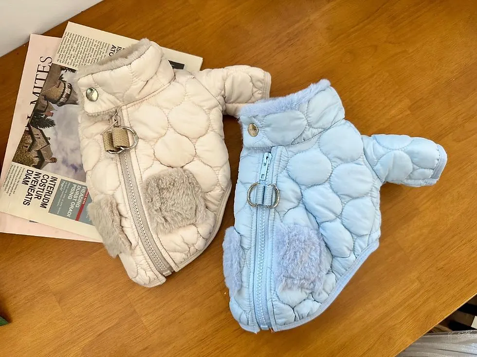 Thumbnail: Quilted Warm Dog Jacket – Padded Winter Coat for Dogs, Small to XL