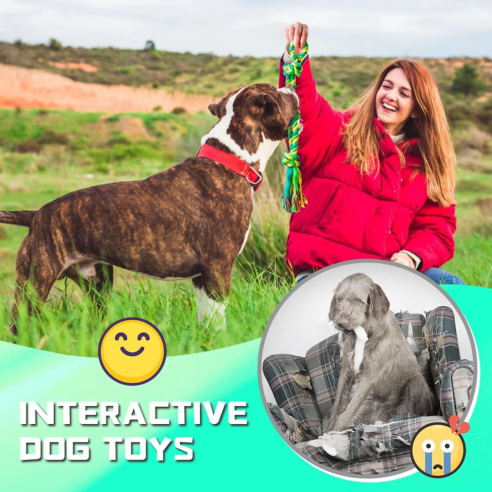 Thumbnail: Large Dog 14-Pack Rope Toys – 27 in Heavy Chew Set