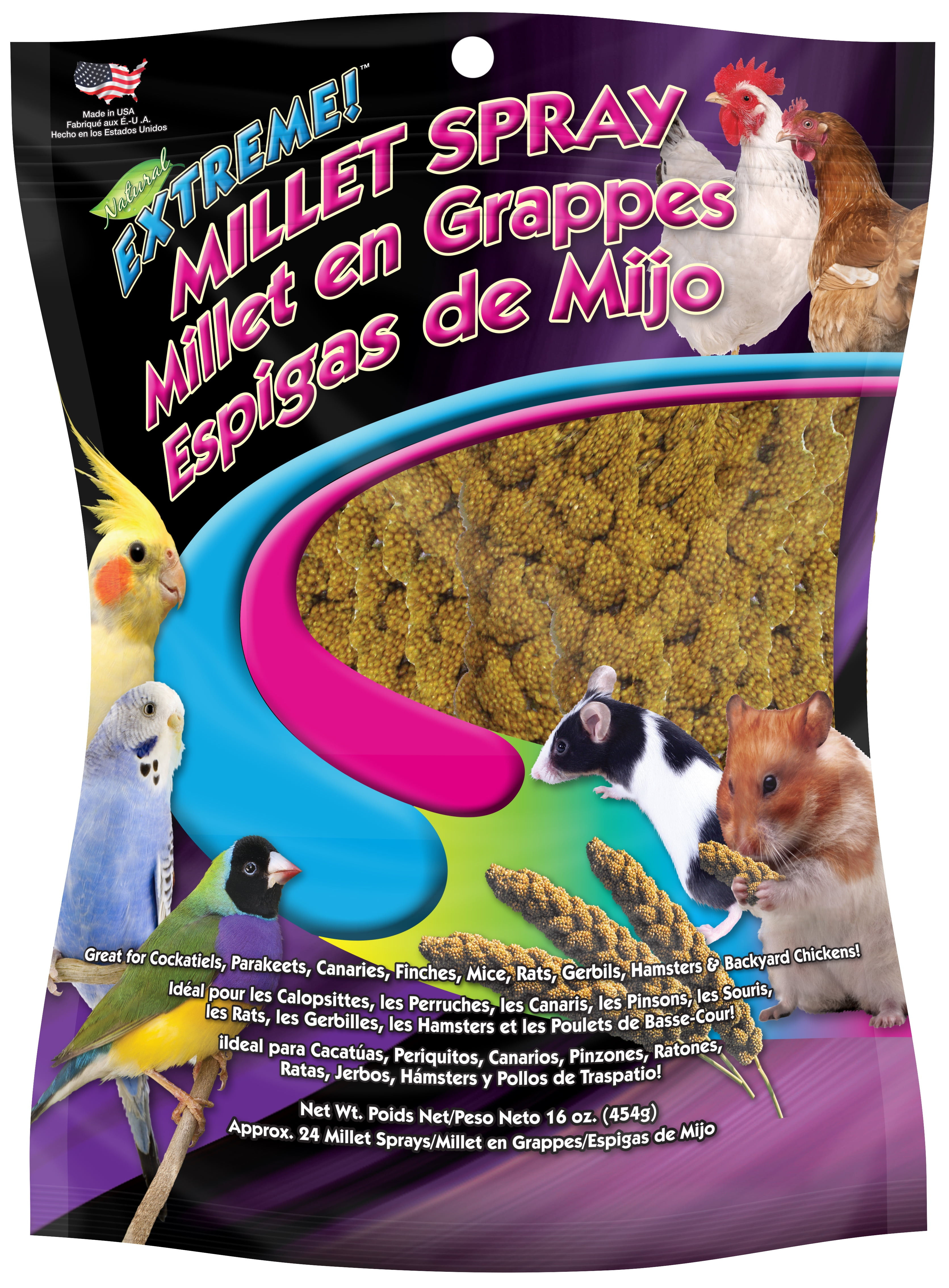 Natural Millet Spray Bird Treat β 16 oz Daily Foraging Snack
