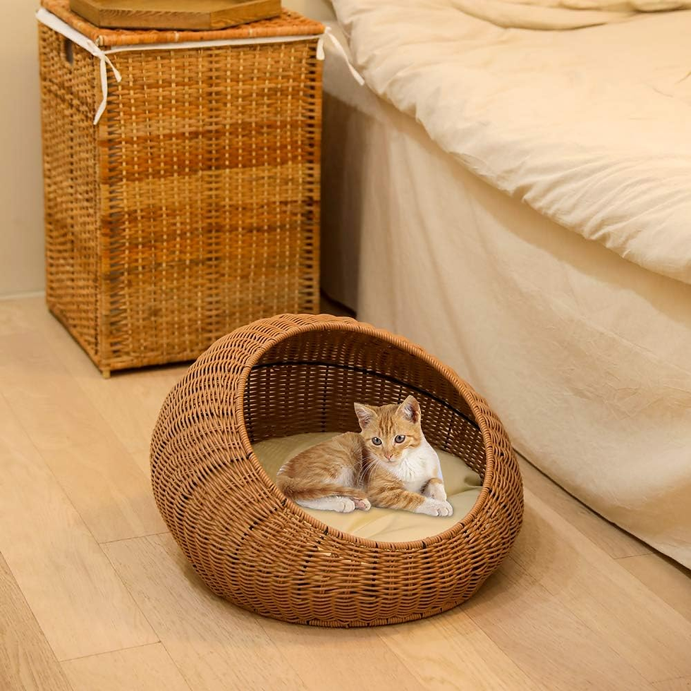 Thumbnail: Natural Handcrafted Rattan Round Pet Bed with Soft Cushion for Cats & Small Dogs