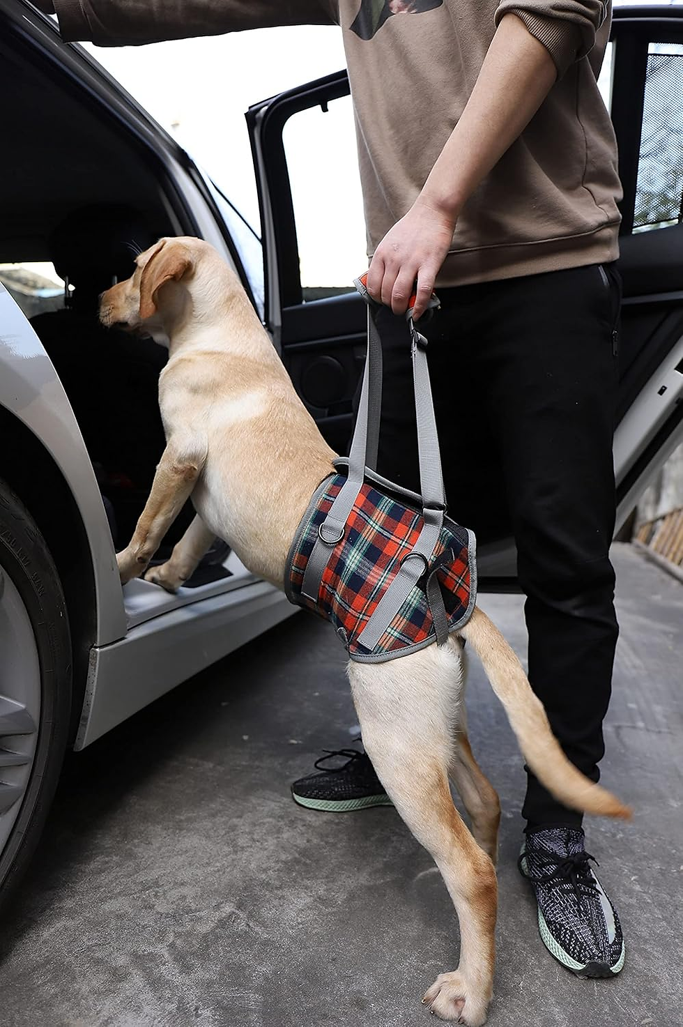 Thumbnail: ROZKITCH Dog Lift Harness, Grid Pet Rear Support Aid Veterinarian Approved Sling