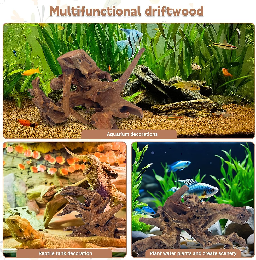 Thumbnail: Mopani Driftwood 2 Pack Aquarium & Reptile Tank Natural Wood Decor
