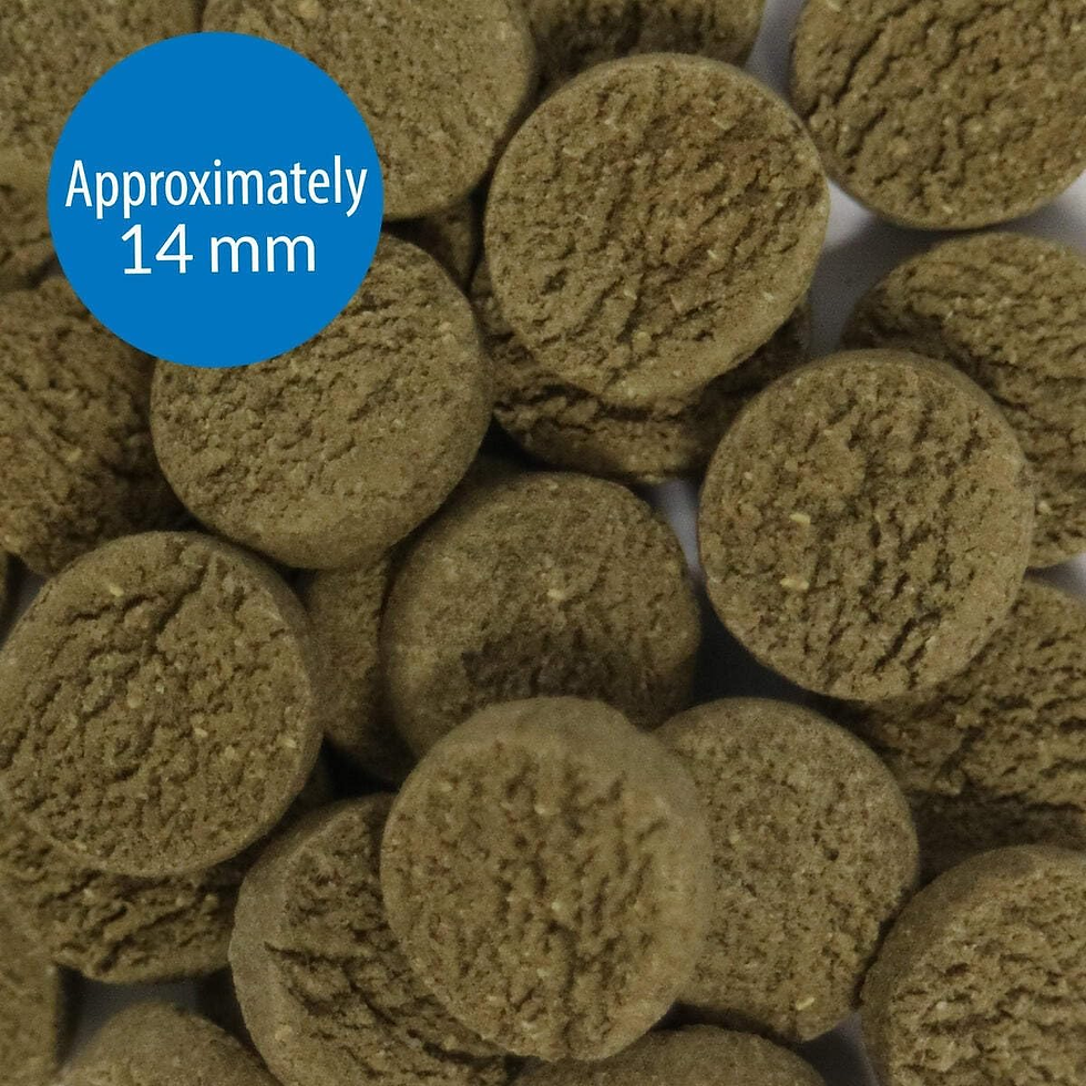 Thumbnail: API - Algae Eater Wafers Fish Food 3.7 oz for Algae-Eating Aquarium Fish