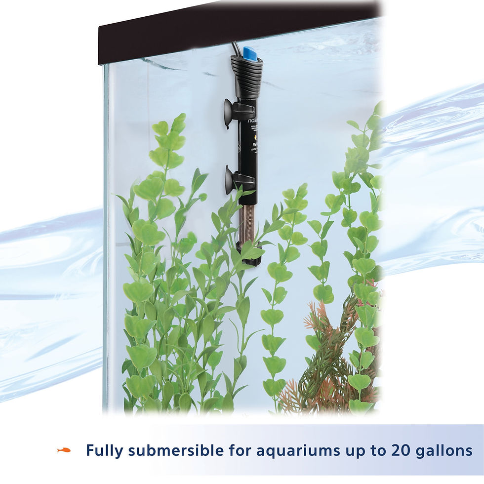Thumbnail: AQUEON - 100W Submersible Aquarium Heater – Adjustable Temp for up to 40 Gallons