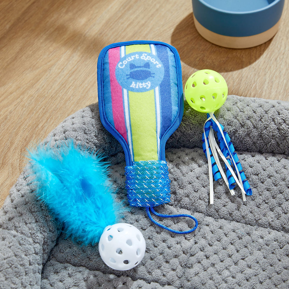 Thumbnail: Vibrant Life Pickleball Cat Toys with Catnip 3-Pack