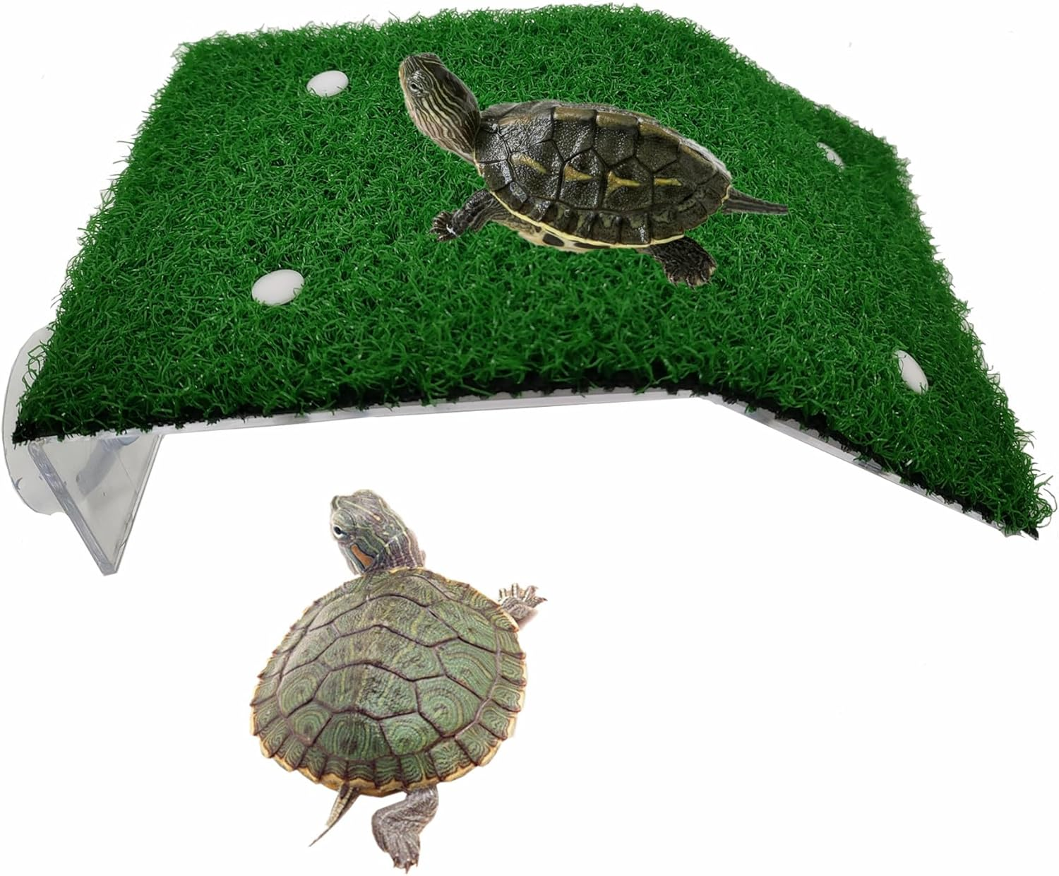 Turtle Basking Platform Ramp Aquarium Dock Floating Reptile Climbing Terrace