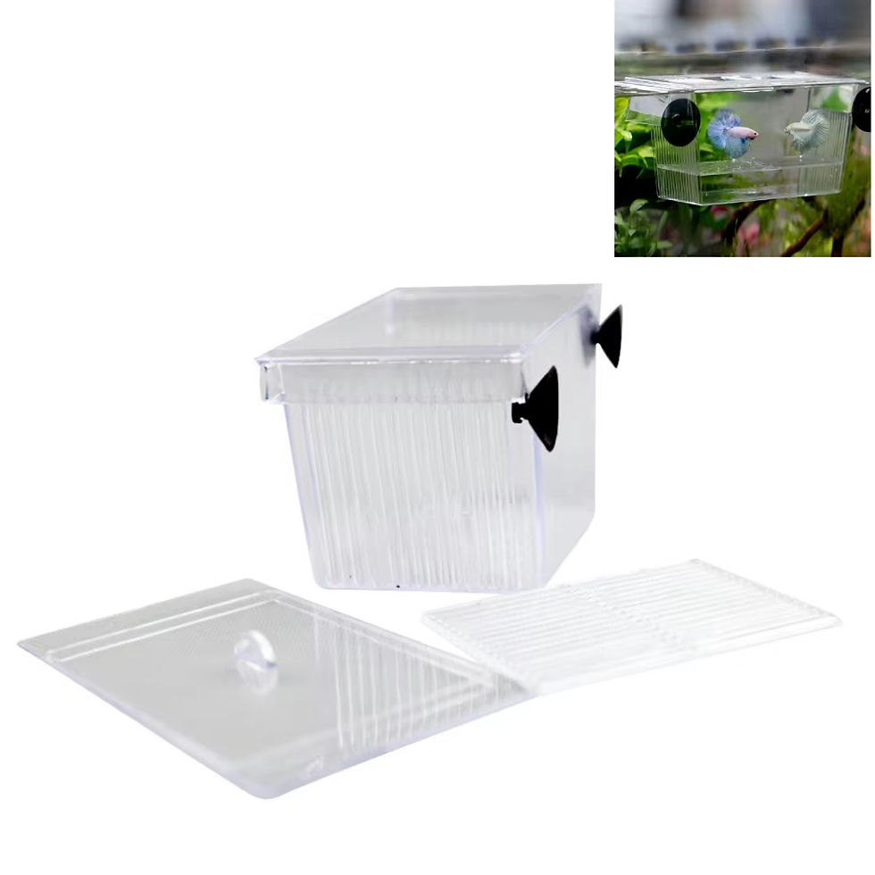 Thumbnail: Acrylic Fish Breeding Box – Floating Fry Isolation Hatchery for Aquariums