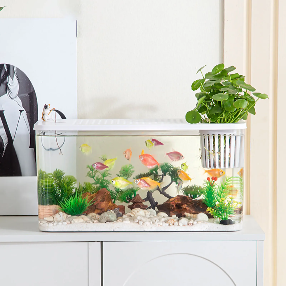 Thumbnail: Reptile Terrarium Clear View Breeding Tank Habitat Cage Feeding Box