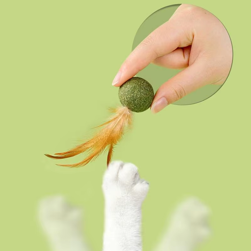 Thumbnail: Natural Catnip Feather Balls Lickable Cat Grass Snack Kitten Scratchers Toy Trea