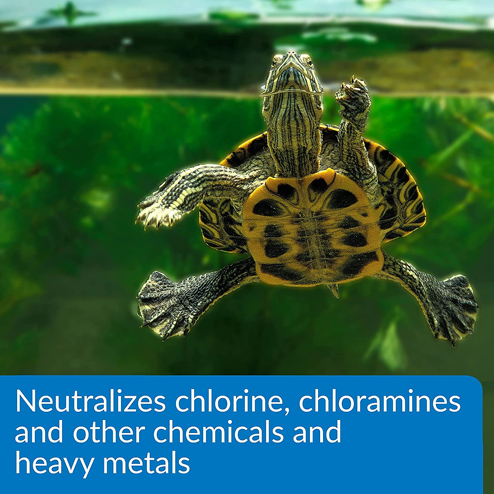 Thumbnail: API® Turtle Water Conditioner – 8 oz Aquatic Reptile Water Treatment