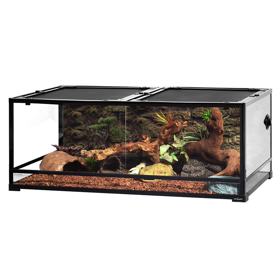 Thumbnail: REPTI-ZOO® 90 Gallon Front Opening Glass Reptile Terrarium